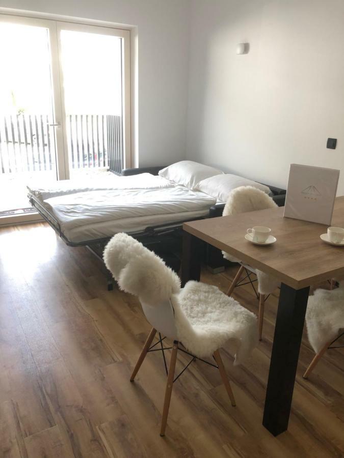 Vila Mojca Apartma Peridot - Center קרנייסקה גורה מראה חיצוני תמונה